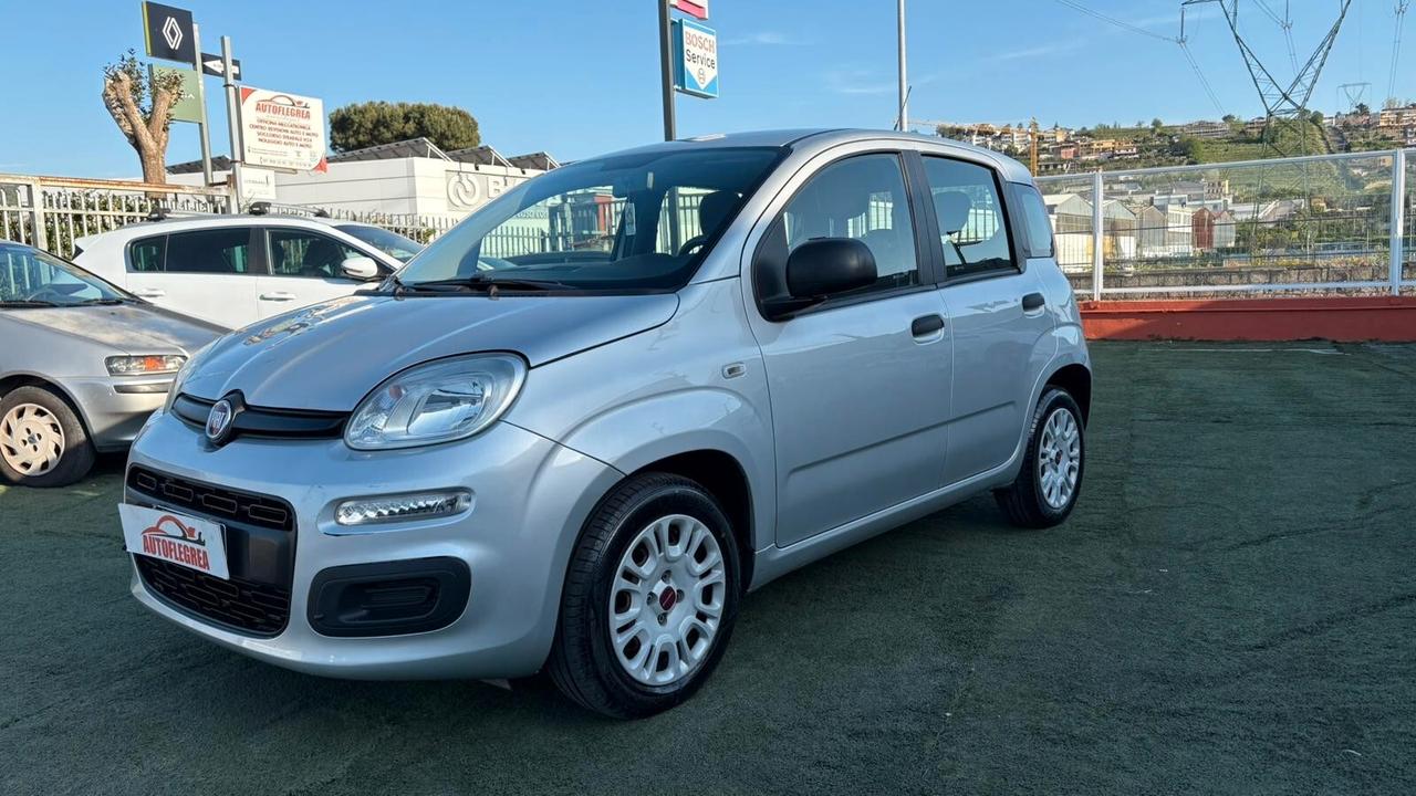 Fiat Panda 1.2 312PXA1A | BENZINA|169A4000 CC 1242 CV 69 KW 51 BERLINA, 5 P. (92816
