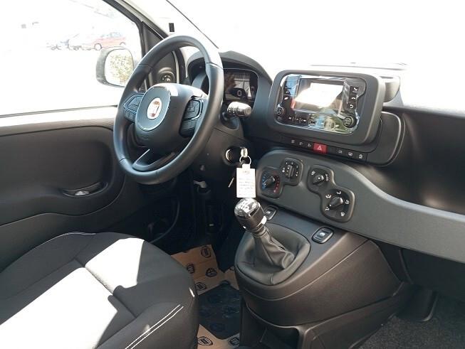 Fiat Panda 1.0 FireFly S&S Hybrid Icon