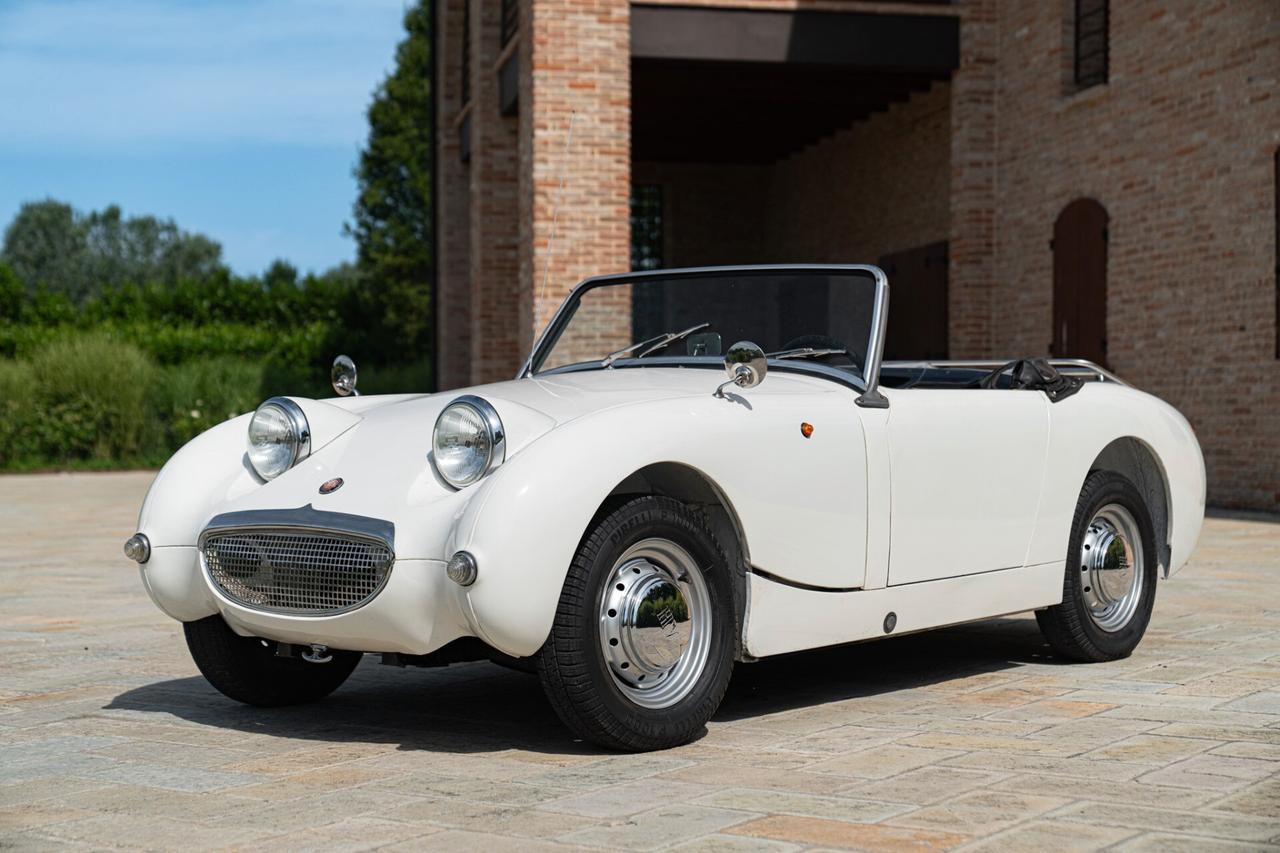 Austin Healey SPRITE - AUS00015