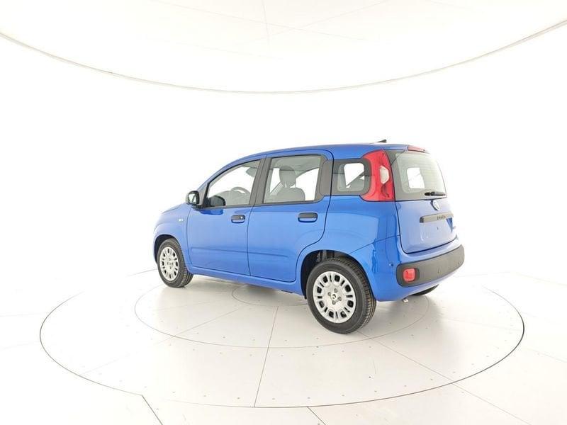 FIAT Panda 1.0 FireFly S&S Hybrid +Vernice + kit 5 posti + Pack city