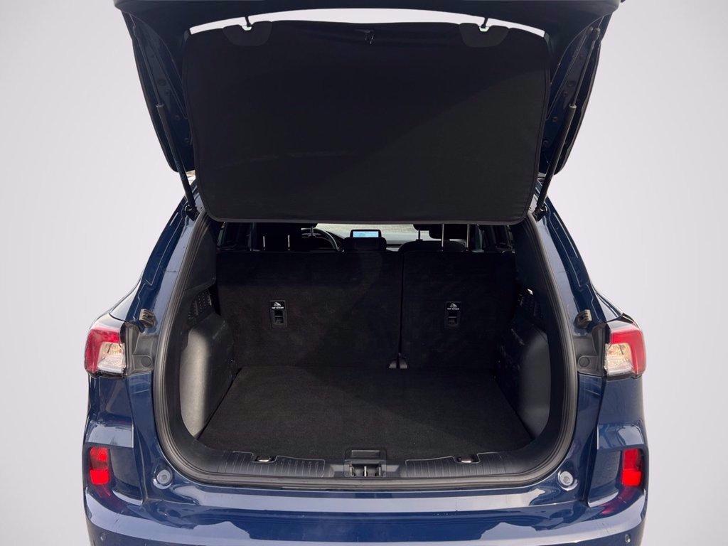 FORD Kuga 2.5 Full Hybrid 190 CV CVT 2WD ST-Line del 2024