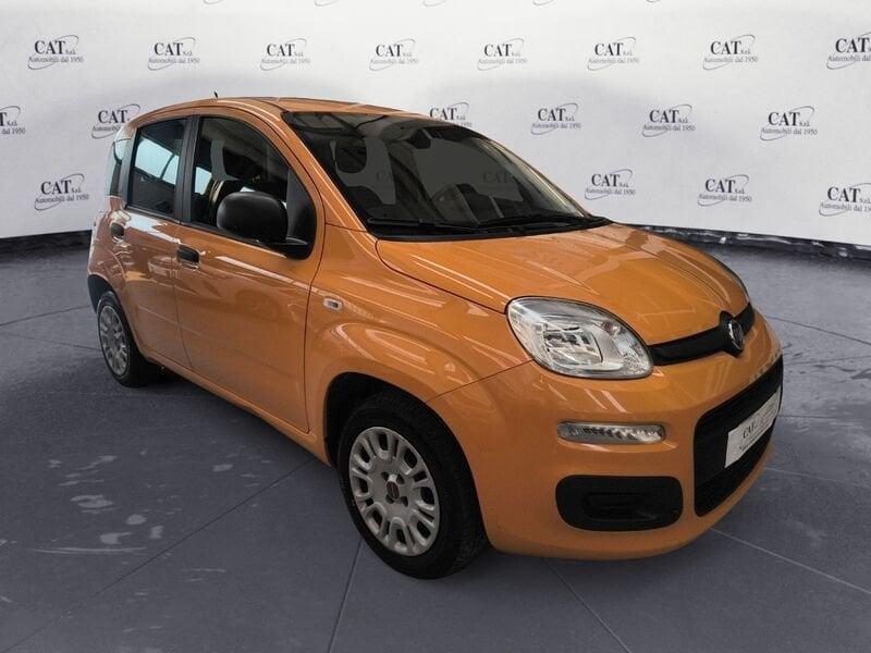 FIAT Panda Panda 1.2 Easy (PREZZO REALE)
