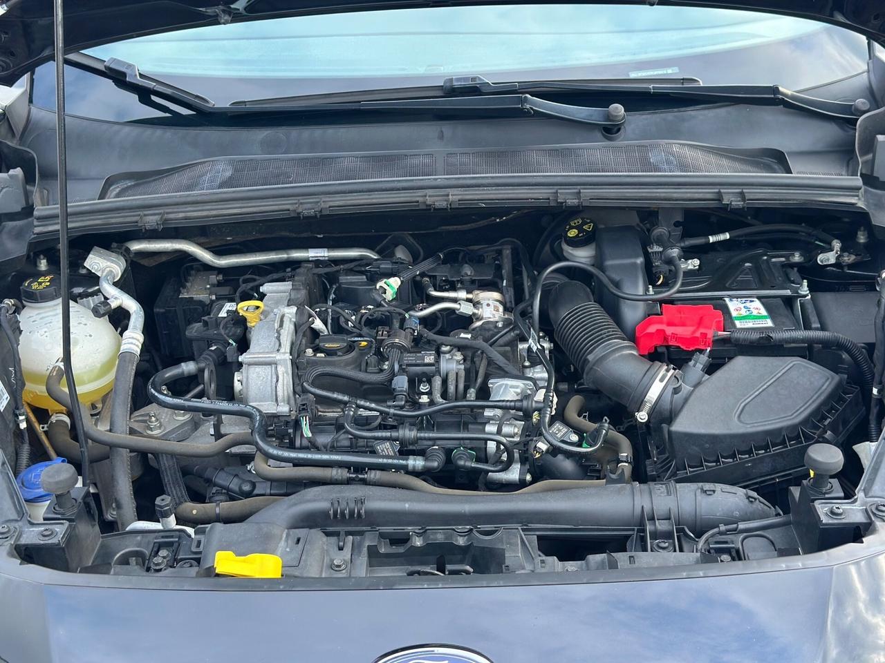 Ford Puma 2022 1.0 Hybrid/Benzina 125 CV ST-Line