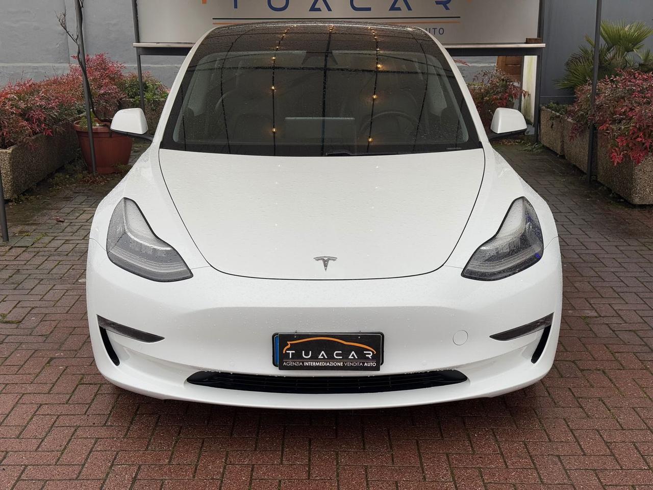 Tesla Model 3 Long Range Dual Motor AWD #8658