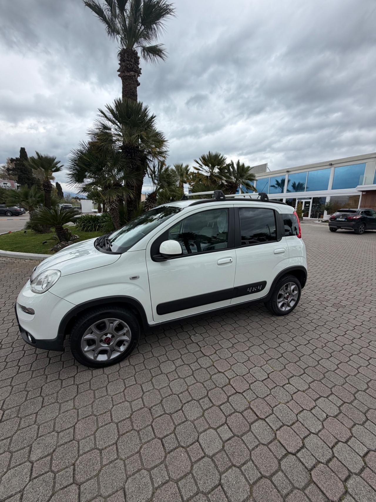 Fiat Panda 1.3 MJT S&S 4x4 Antartica