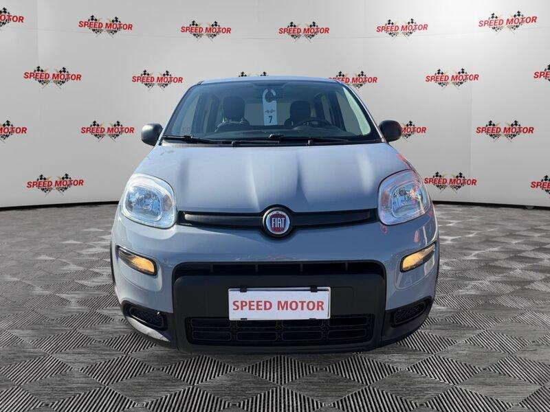 FIAT Panda Panda 1.0 firefly hybrid 70cv, CARPLAY, PRONTA CONSEGNA!