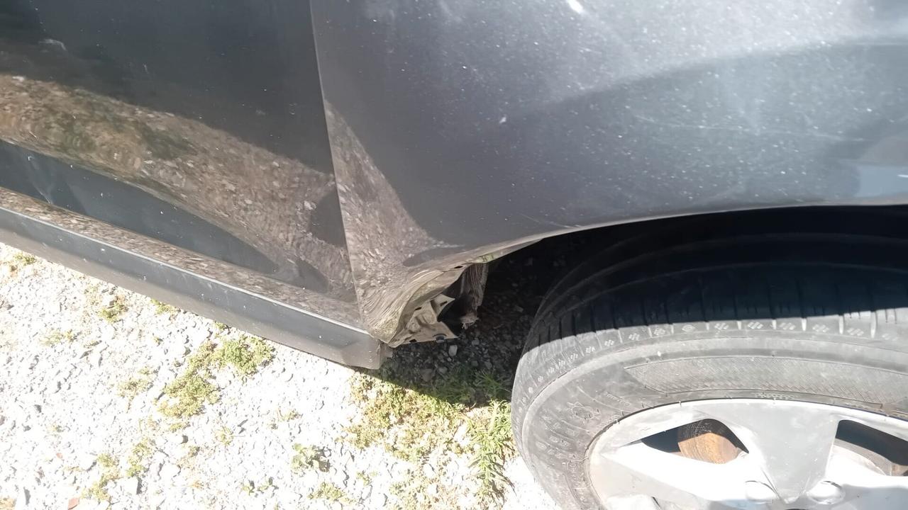 Nissan Qashqai 1.5 dCi Acenta SINISTRATO