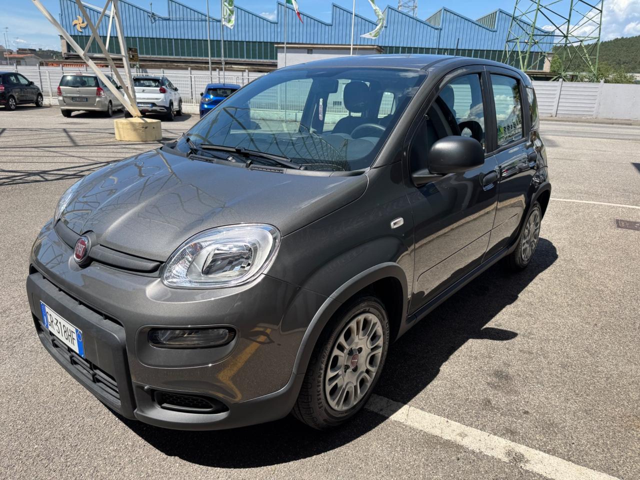 Fiat Panda 1.0 FireFly S&S Hybrid 2024