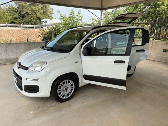 FIAT Panda 1.2 Easy EURO 5 BENZ OK NEOPATENTATI PRONTA CONS.