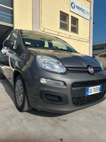 Fiat Panda 1.0 BENZINA 68 MILA KM APRILE 2022