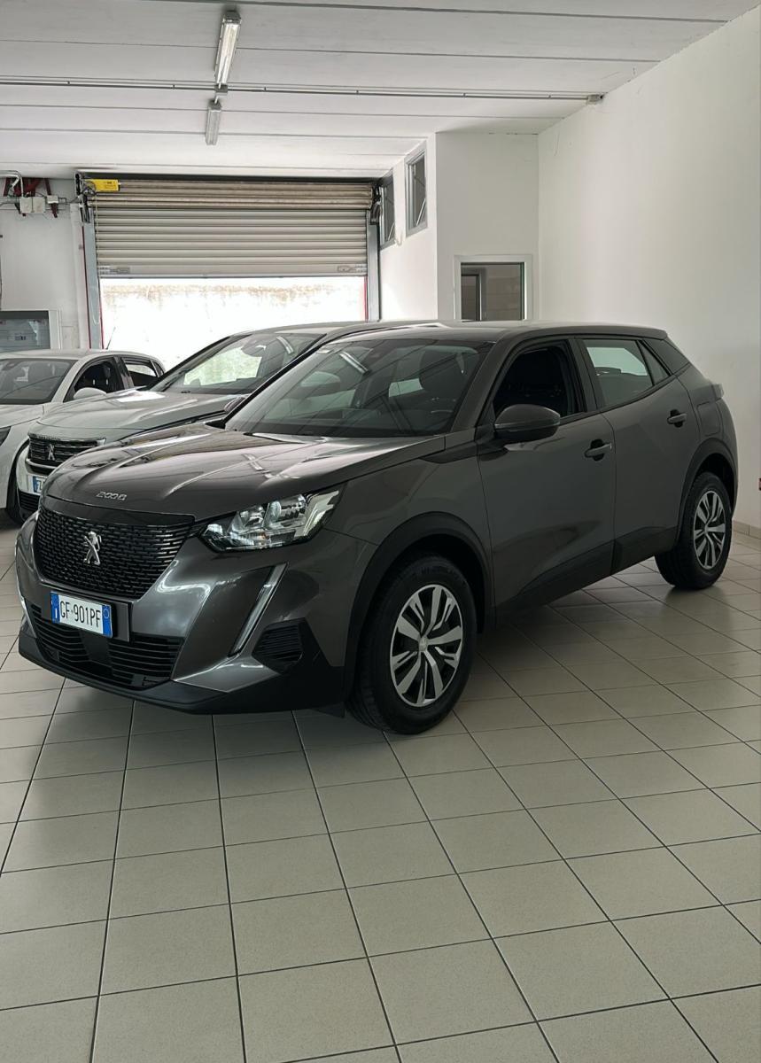 PEUGEOT - 2008 - BlueHDi 110 S&S Active