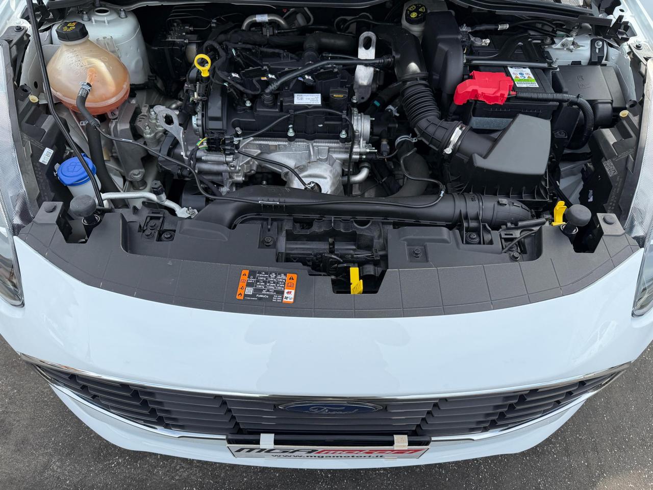 Ford Fiesta 5 Porte Fiesta 5p 1.1 Titanium 75cv