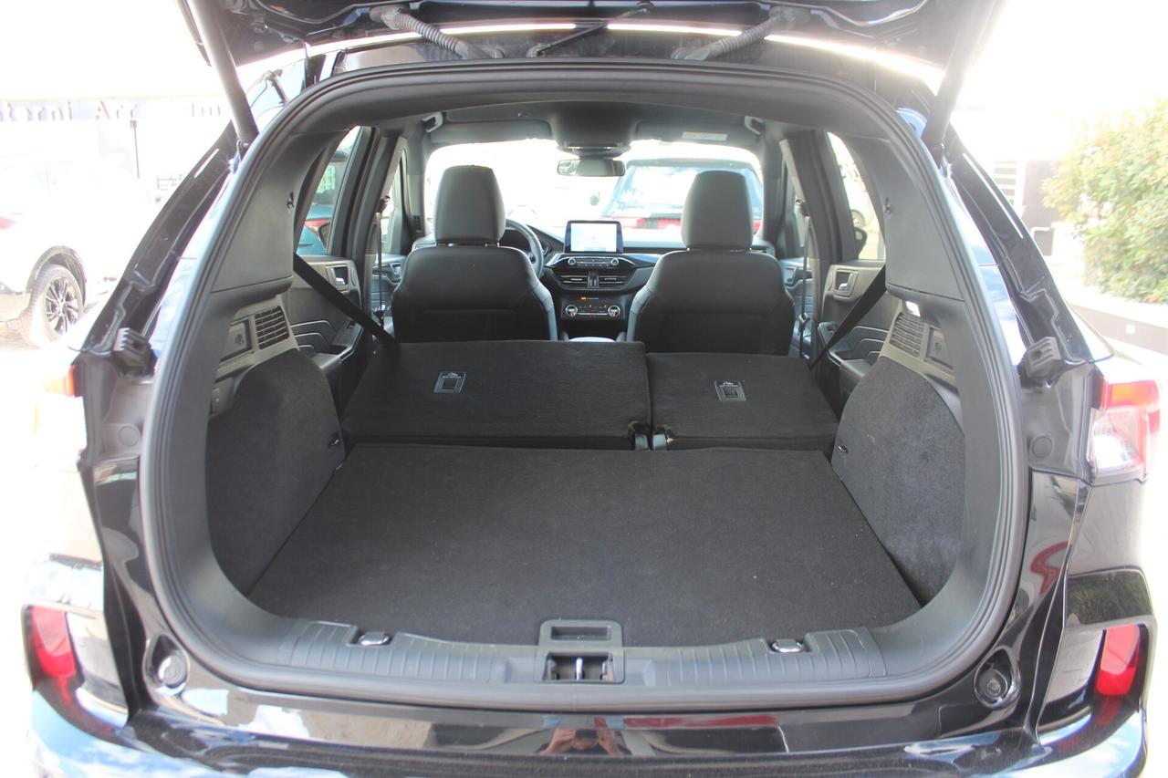 Ford Kuga 1.5 EcoBlue 120 CV aut. 2WD ST-Line X