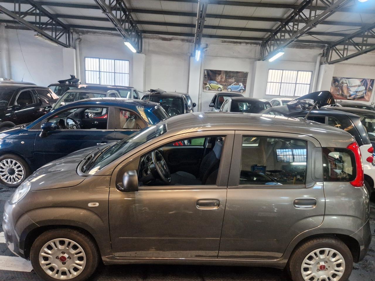 Panda Easy hybrid solo 9600km prezzo reale pronta consegna