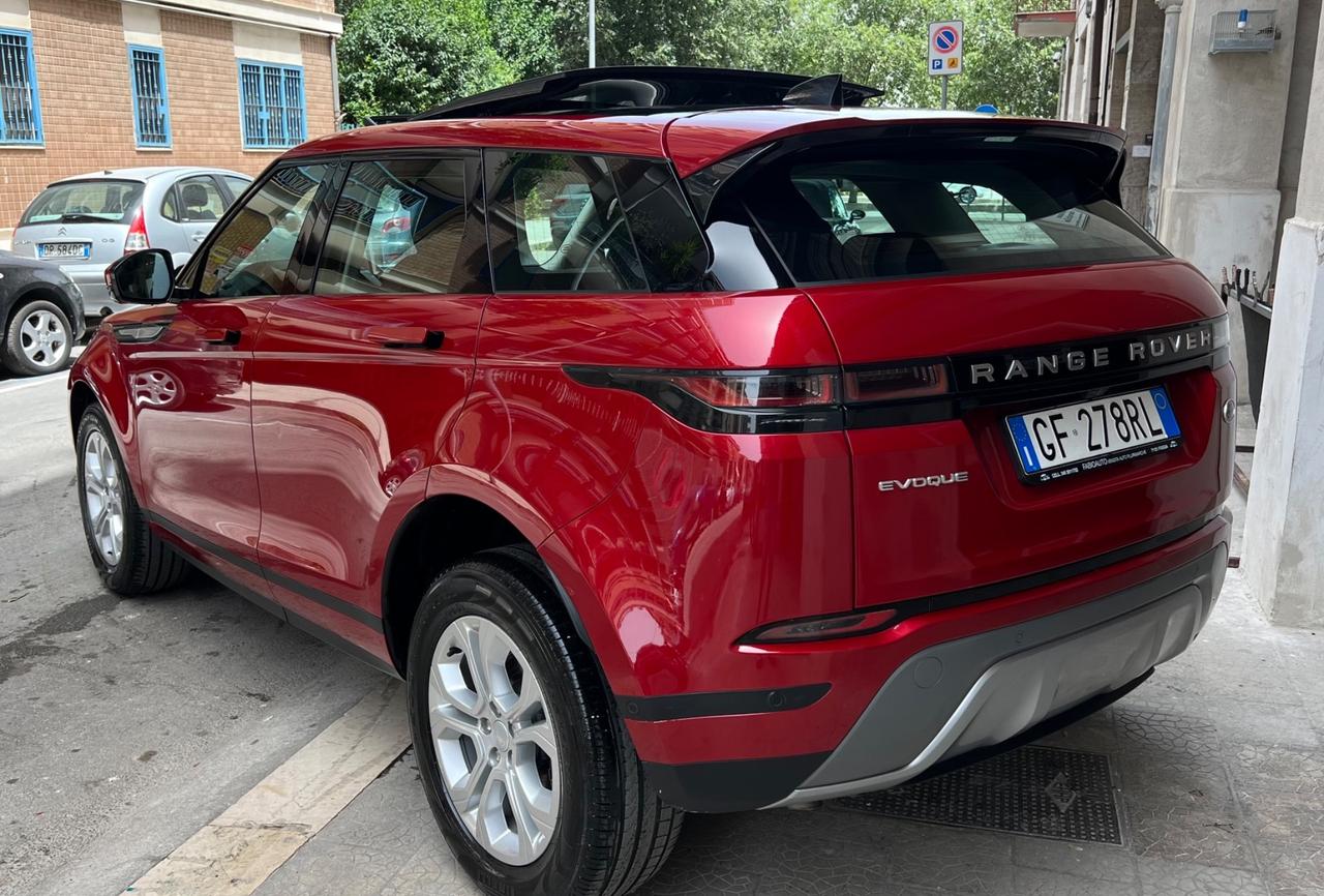 Land Rover evoque 2.0D I4 163 CV AWD tetto apribile