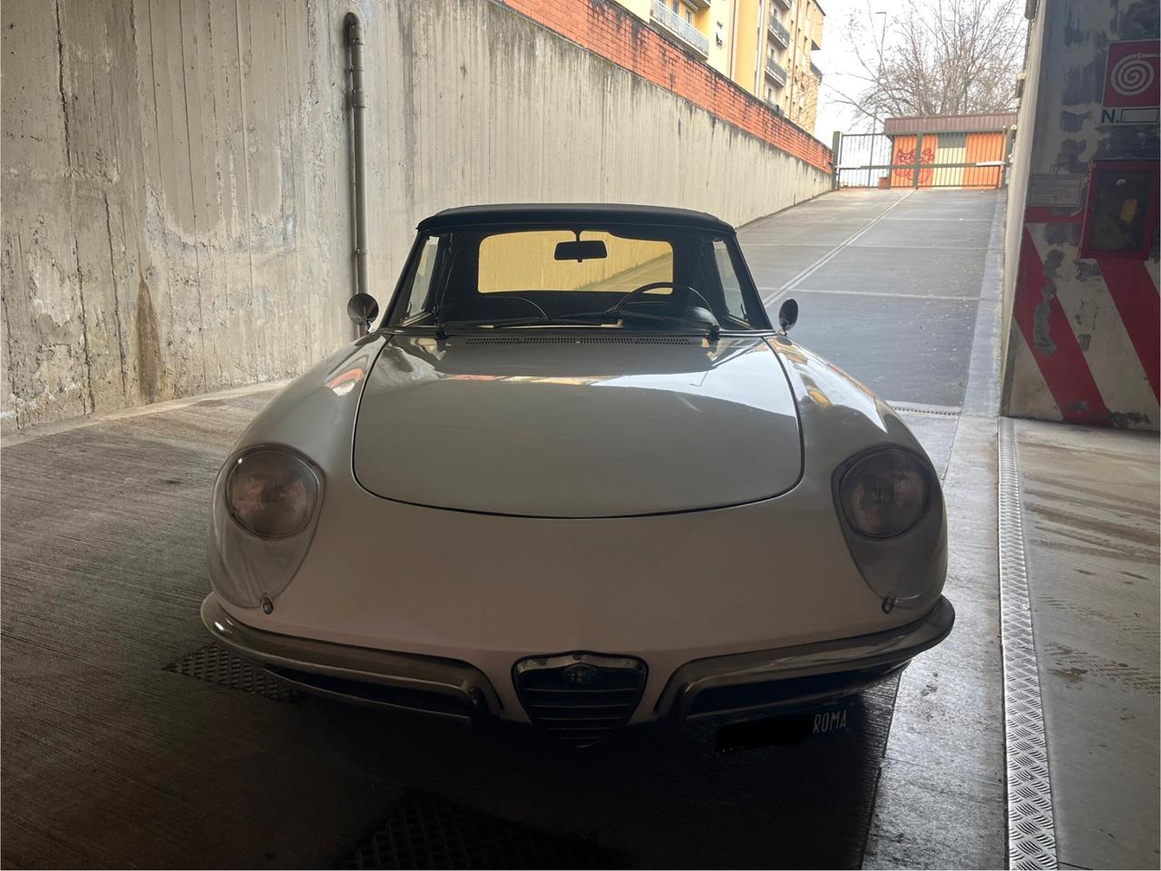 Alfa Romeo Spider 1750 Osso di seppia