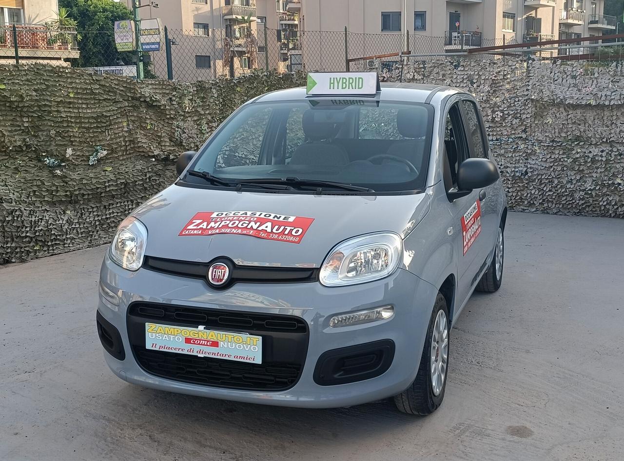 Fiat Panda 1.0 FireFly S&S Hybrid 2021 ZAMPOGNAUTO CT