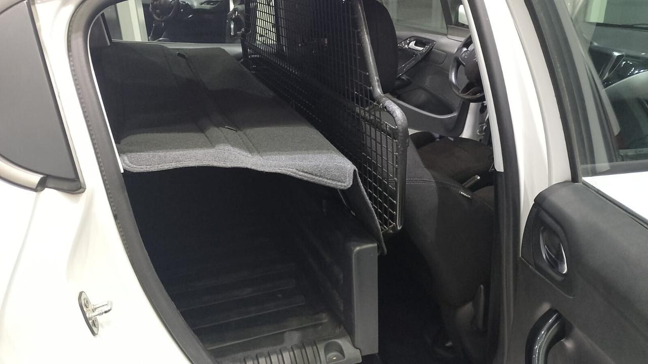 Peugeot 208 BlueHDi 100 S&S 5 porte Active Van