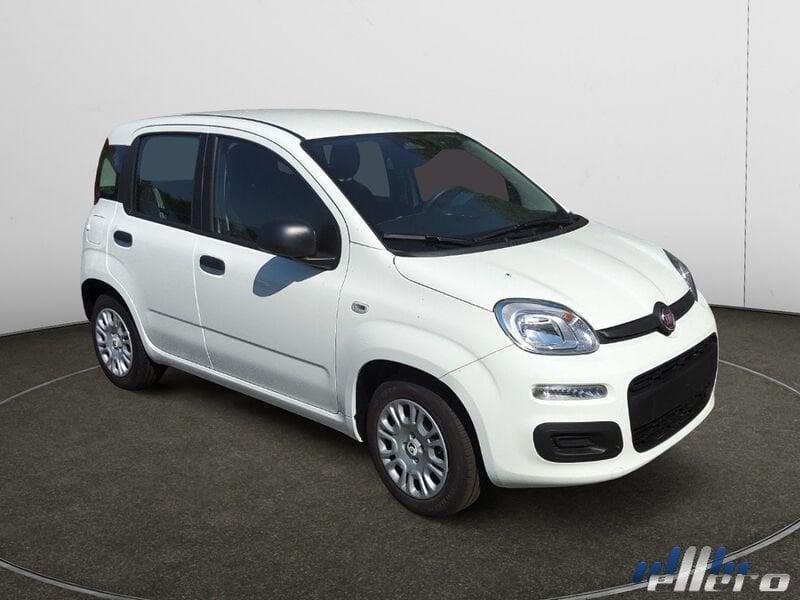 FIAT Panda MY25 1.0 70cv Hybrid