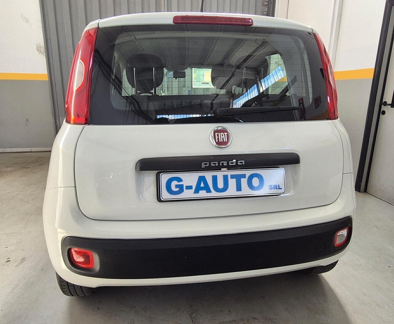 Fiat Panda 1.2 Easy 2019 Unico Proprietario