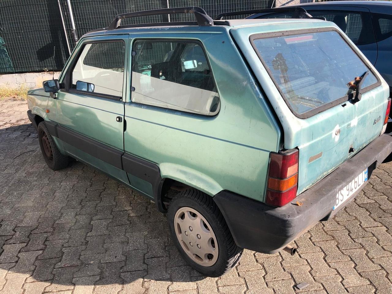 Fiat Panda 900 i.e. cat Young