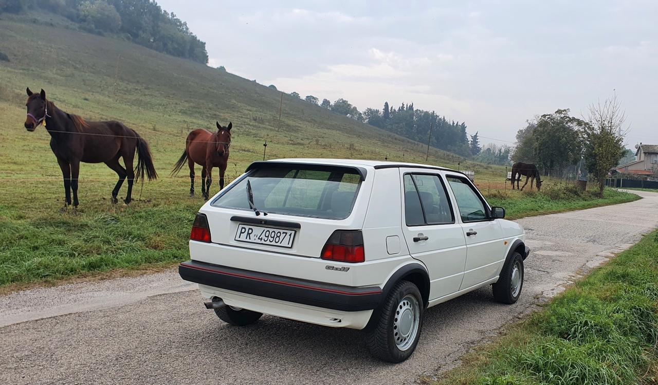 Volkswagen Golf 1.8 Syncro 5p.