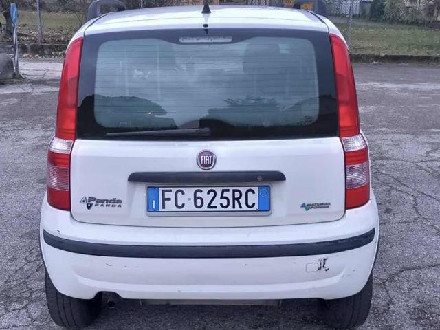 FIAT Panda 1.2 Dynamic Natural Power senza lavoro da fare