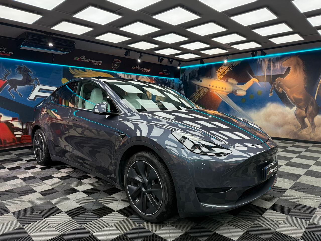 Tesla Model Y RWD (222)