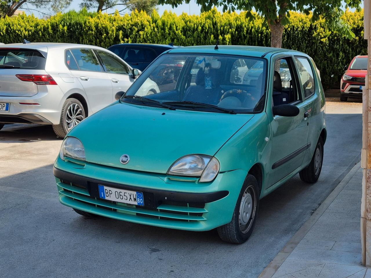 Fiat Seicento 900i cat Young