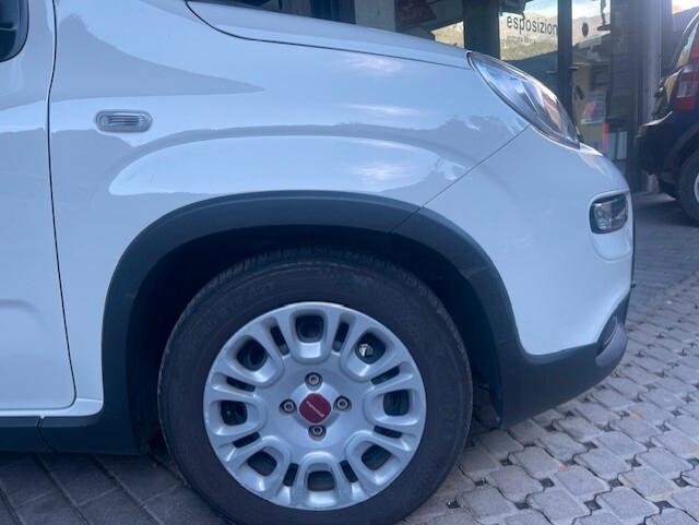 Fiat Panda 1.0 FireFly S&S Hybrid 2024
