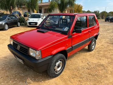 Fiat Panda 1100 i.e. cat 4x4 Trekking