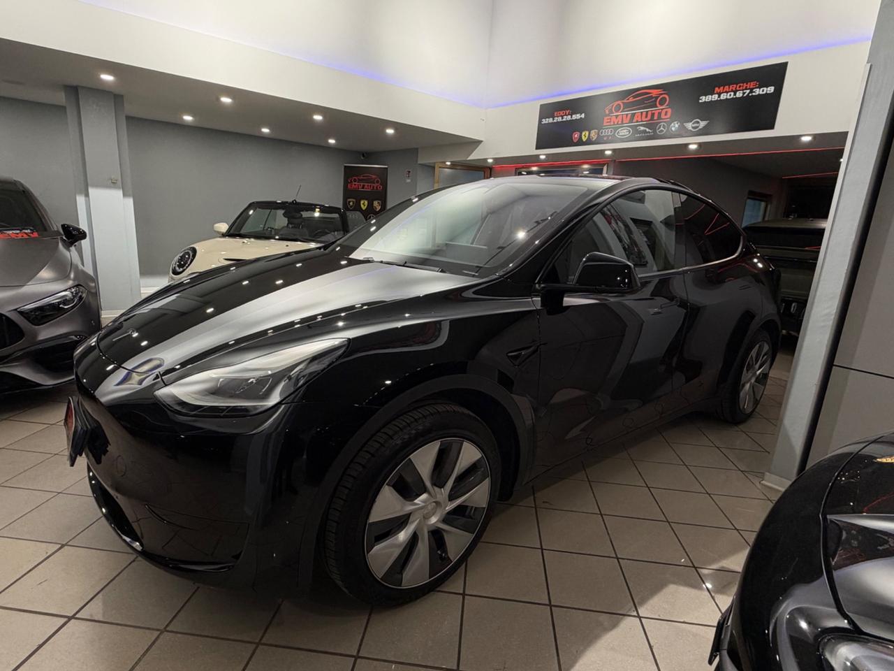 Tesla Model Y RWD Iva esposto