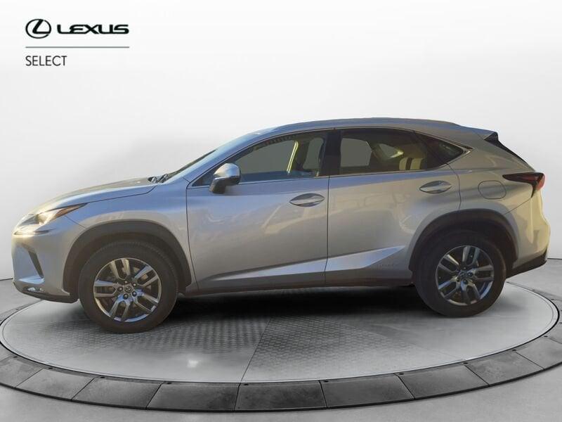 Lexus NX Hybrid 4WD Business