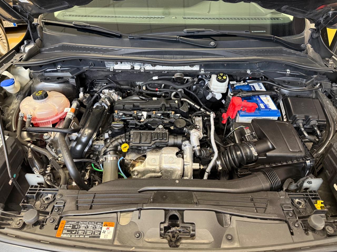 Ford Kuga 1.5 EcoBlue 120 CV 2WD Titanium Business