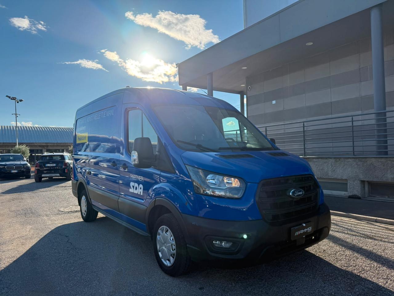 Ford Transit 290 2.0TDCi EcoBlue PM-TM Furgone Trend