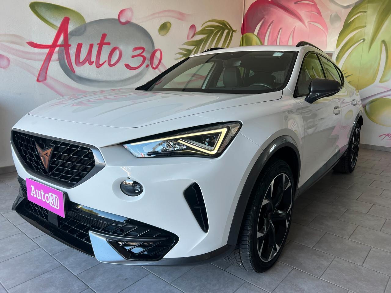 Cupra Formentor 2.0 TDI IVA ESPOSTA