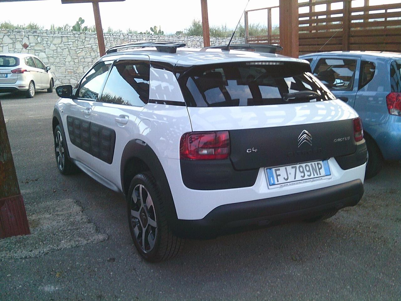 Citroen C4 Cactus BlueHDi 100 Shine