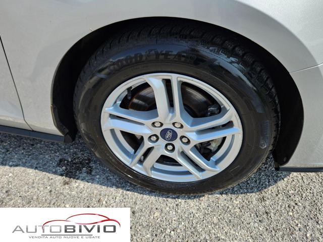 FORD Focus 1.5 EcoBlue 120 CV automatico SW Business Co-Pilot