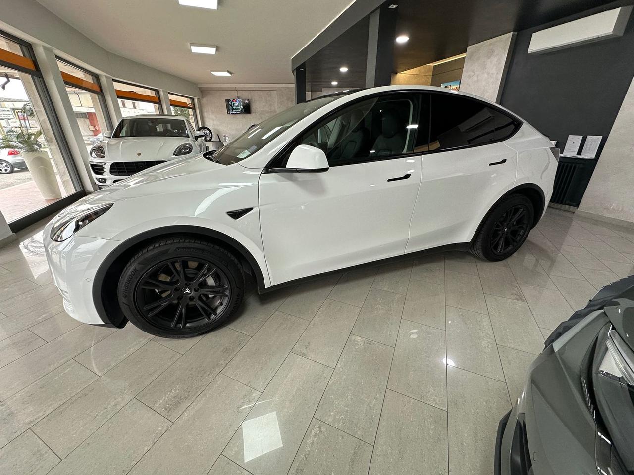 Tesla Model Y DUAL MOTOR LONG RANGE AWD Maxi #7387