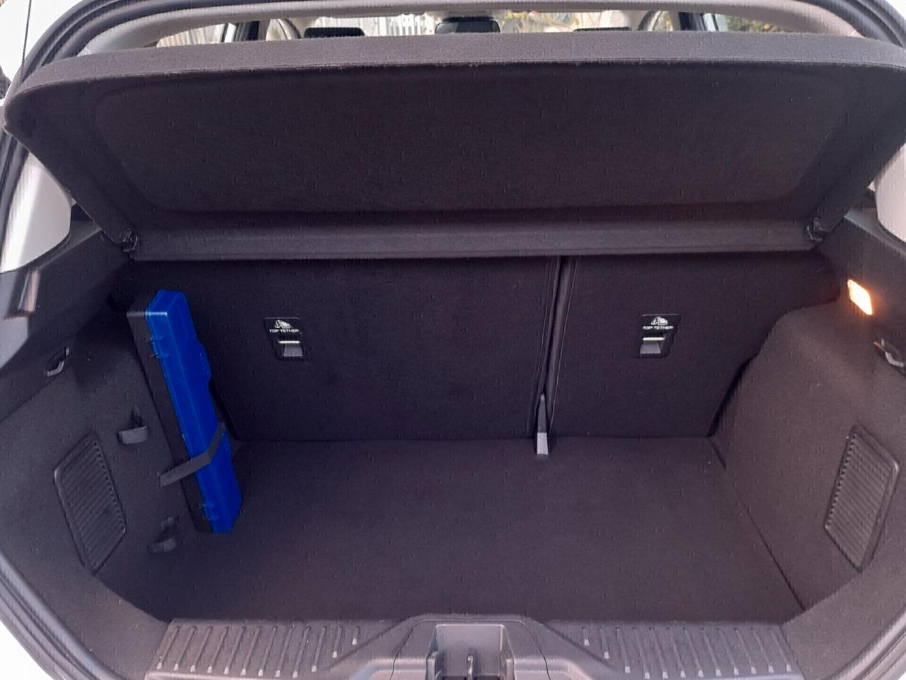 Ford Fiesta 1.5 EcoBlue 5 porte Connect Anno 2020