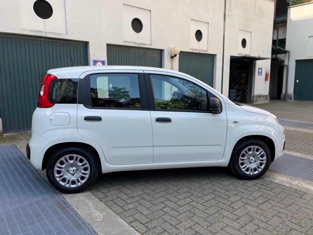 FIAT Panda 1.0 ICON Hybrid CAR PLAY 5"POSTO-SENSORI