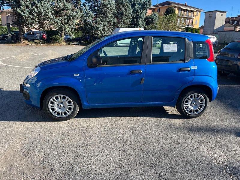 FIAT Panda Panda 1.0 FireFly S&S Hybrid Icon