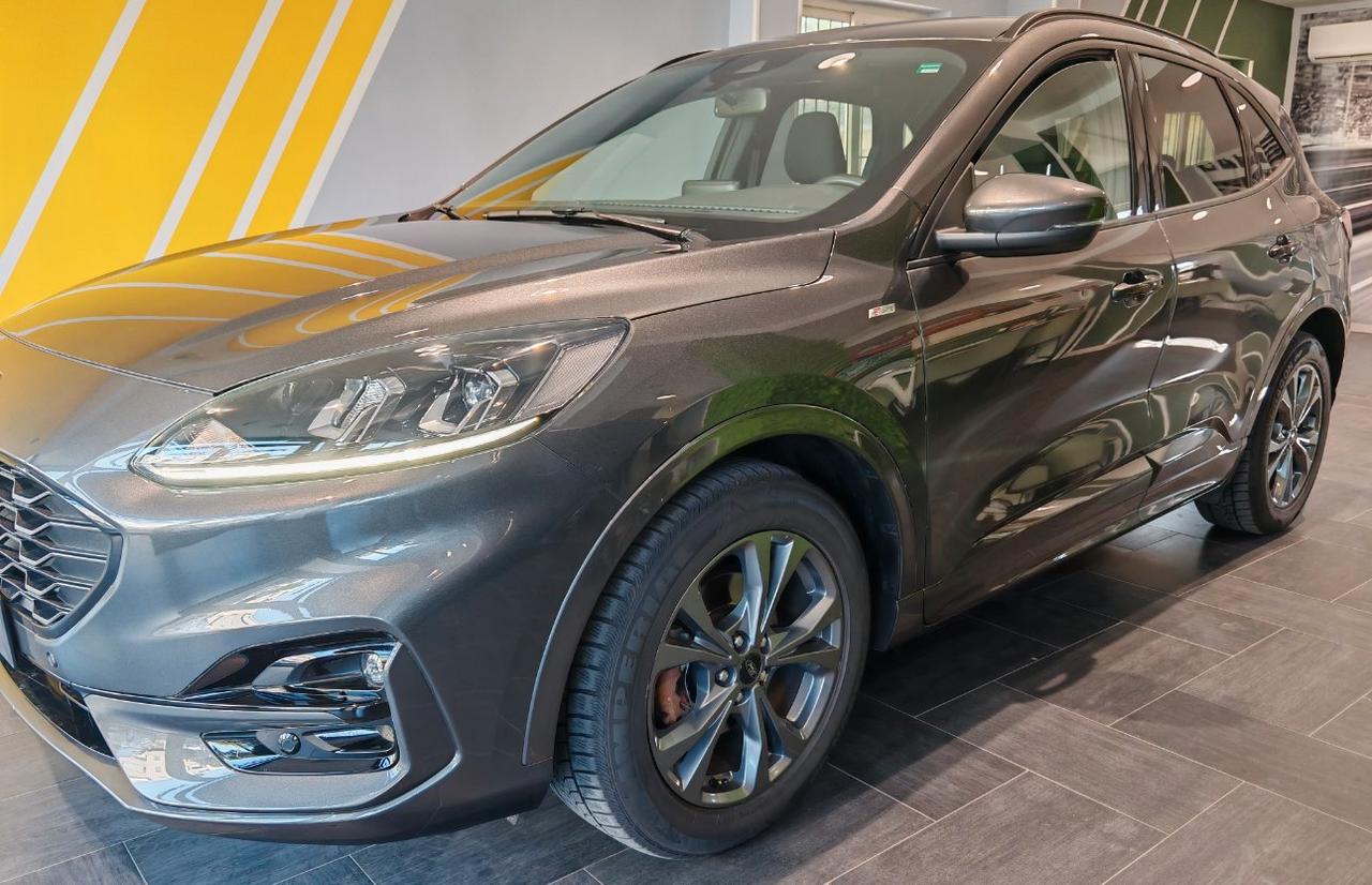 Ford Kuga 1.5 ecoblue ST-LINE 2wd 120cv auto