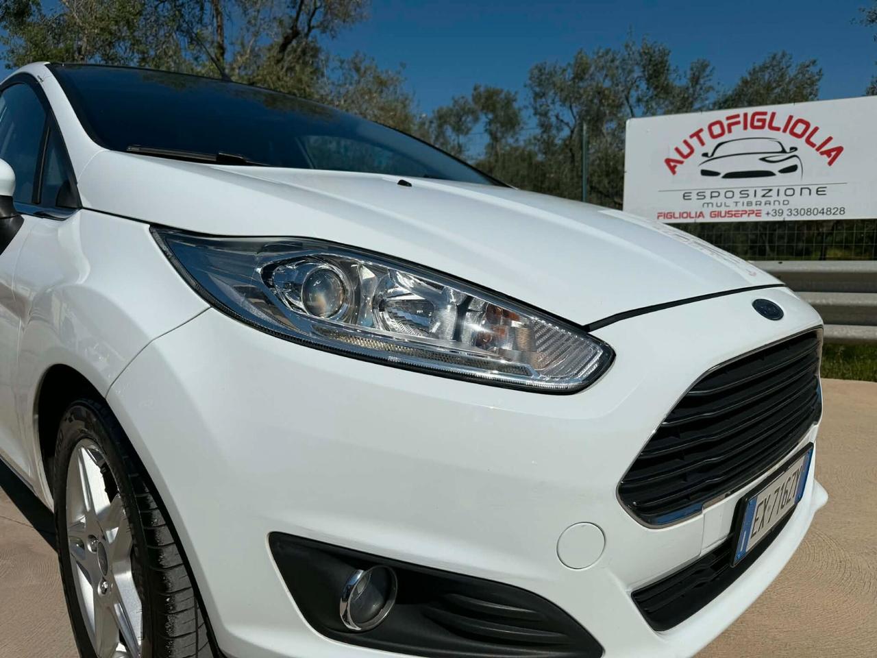 Ford Fiesta 1.5 TDCi 75CV 5 porte Titanium 2014