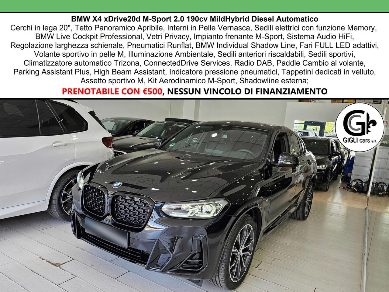 BMW X4 XDrive20d M-Sport C20" TETTO Navi CAM LED Clima3Z