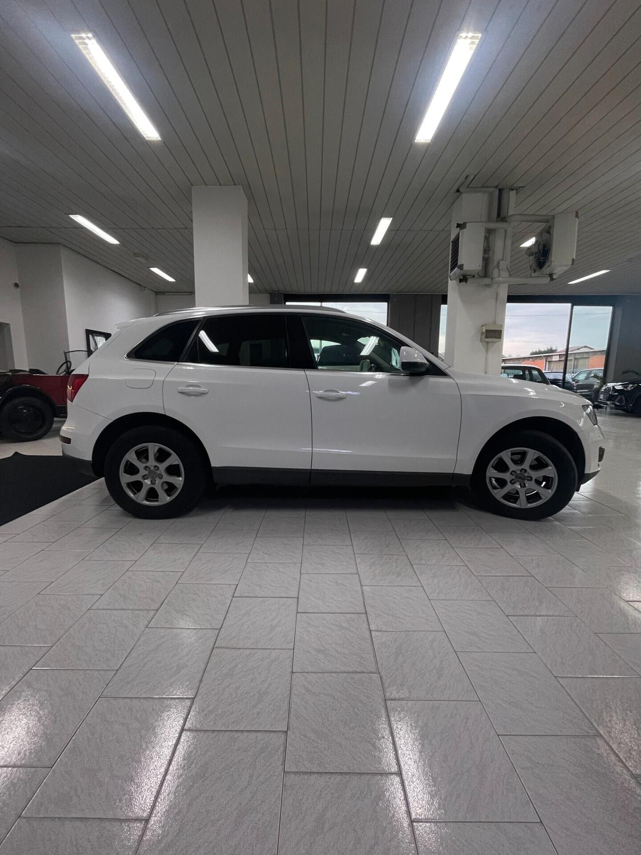 Audi Q5 2.0 TDI 143 CV QUATTRO Advanced Plus