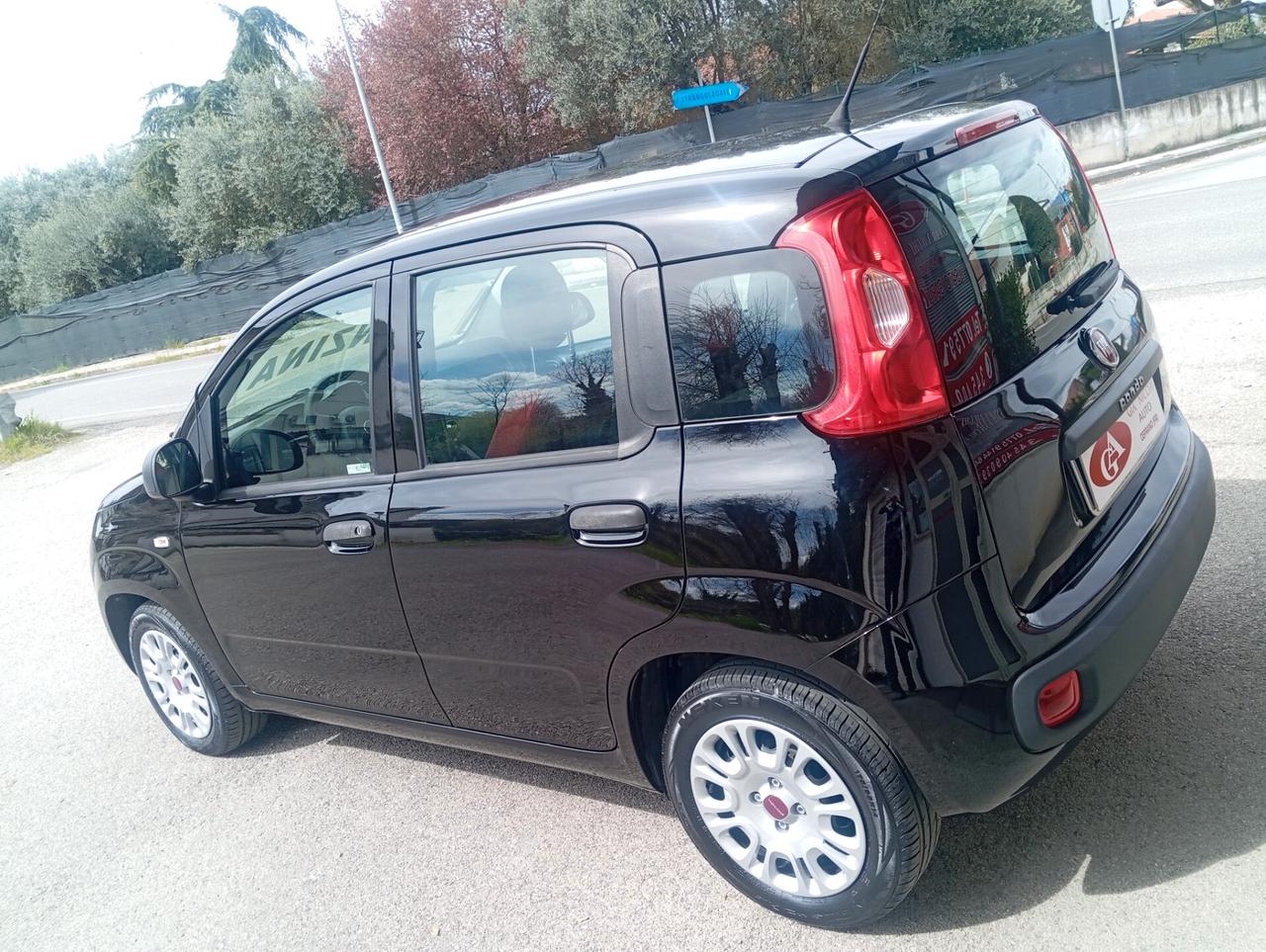Fiat Panda 1.2 Easy 69cv 77000 km unipro ben tenuta