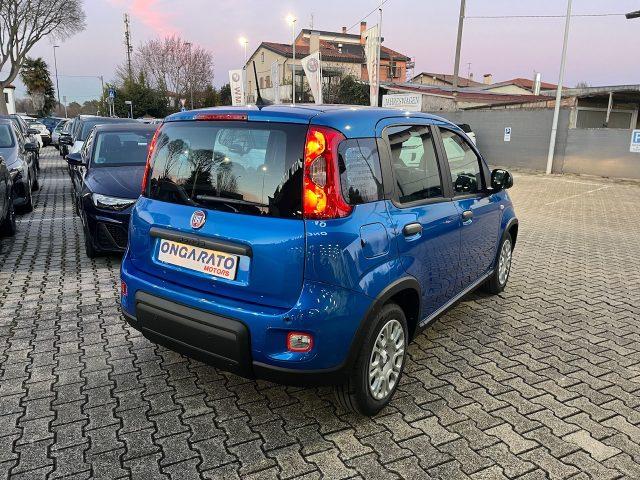 FIAT Panda 1.0 FireFly S&S Hybrid #Nuovo.Modello