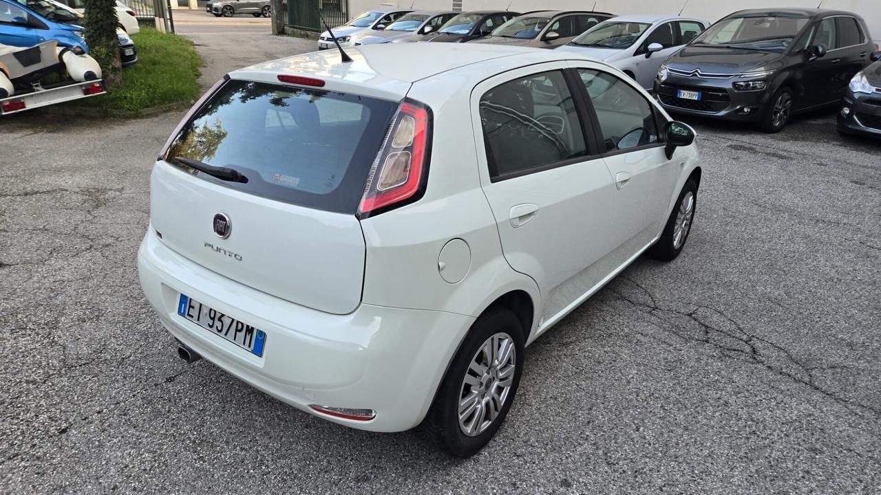 Fiat Punto 1.2 8V 5 porte Street Ok Neopatentati