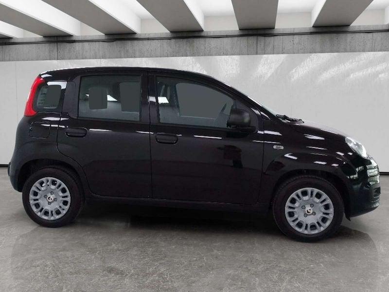 FIAT Pandina 1.0 firefly hybrid Icon s&s 70cv 5p.ti